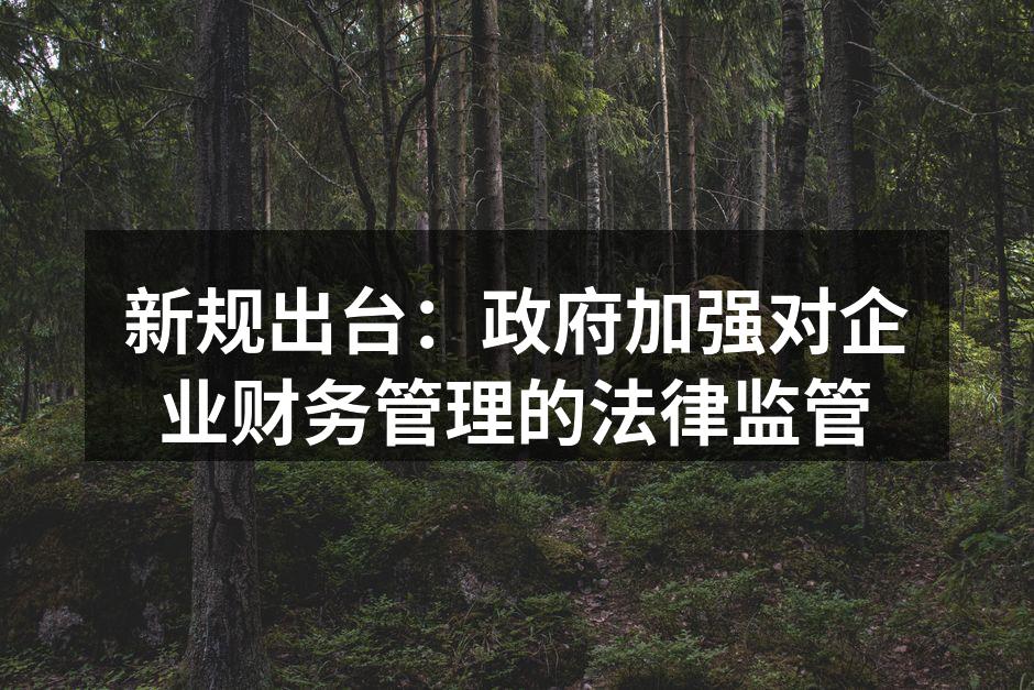 新规出台：政府加强对企业财务管理的法律监